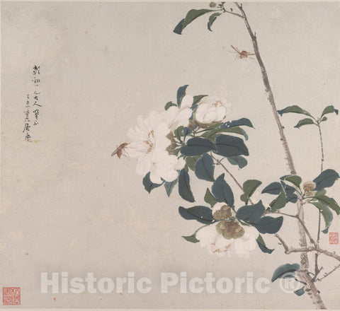 Art Print : Ju Lian - Insects and Flowers - China : Vintage Wall Art