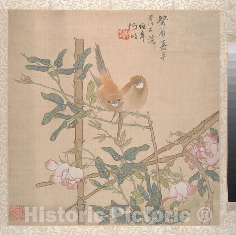 Art Print : Ren Yi (Ren Bonian) - Two Birds Perched on a Flowering Rose Bush - China : Vintage Wall Art