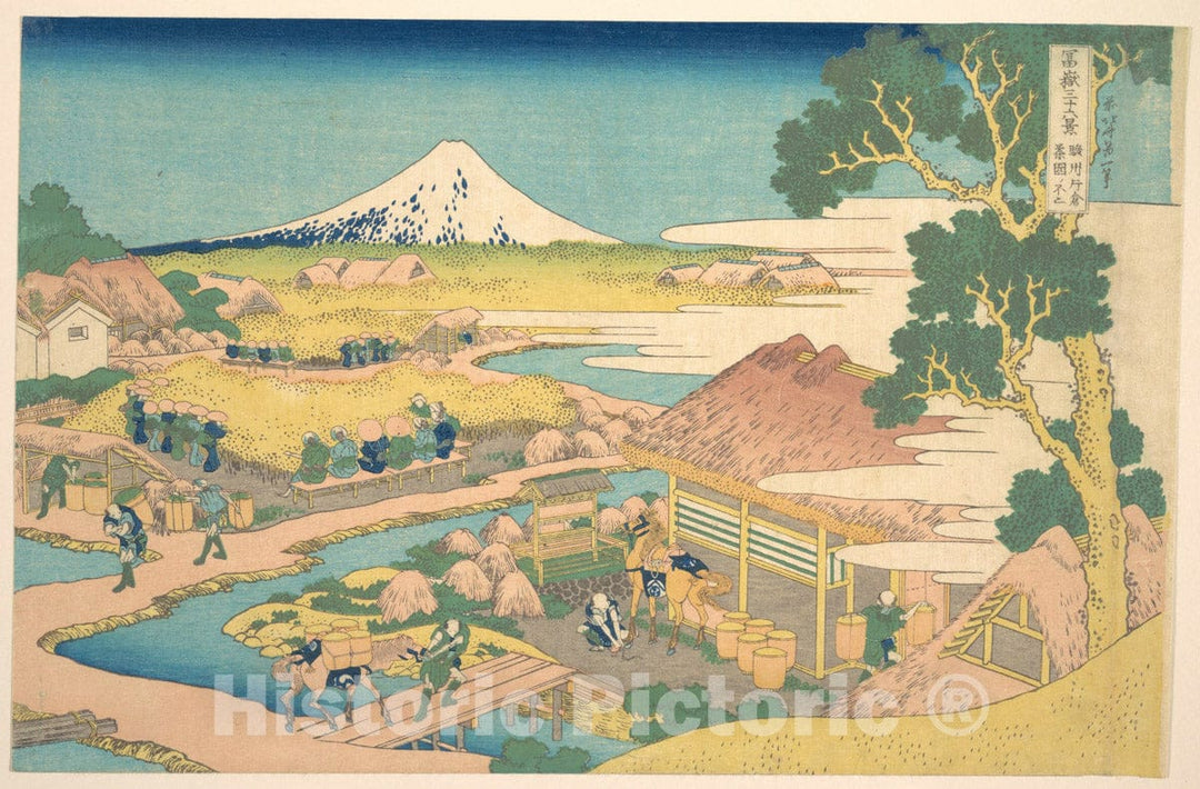 Art Print : Fuji from The Katakura Tea Fields - Artist: Katsushika Hokusai - Created: c1830 1 : Vintage Wall Art