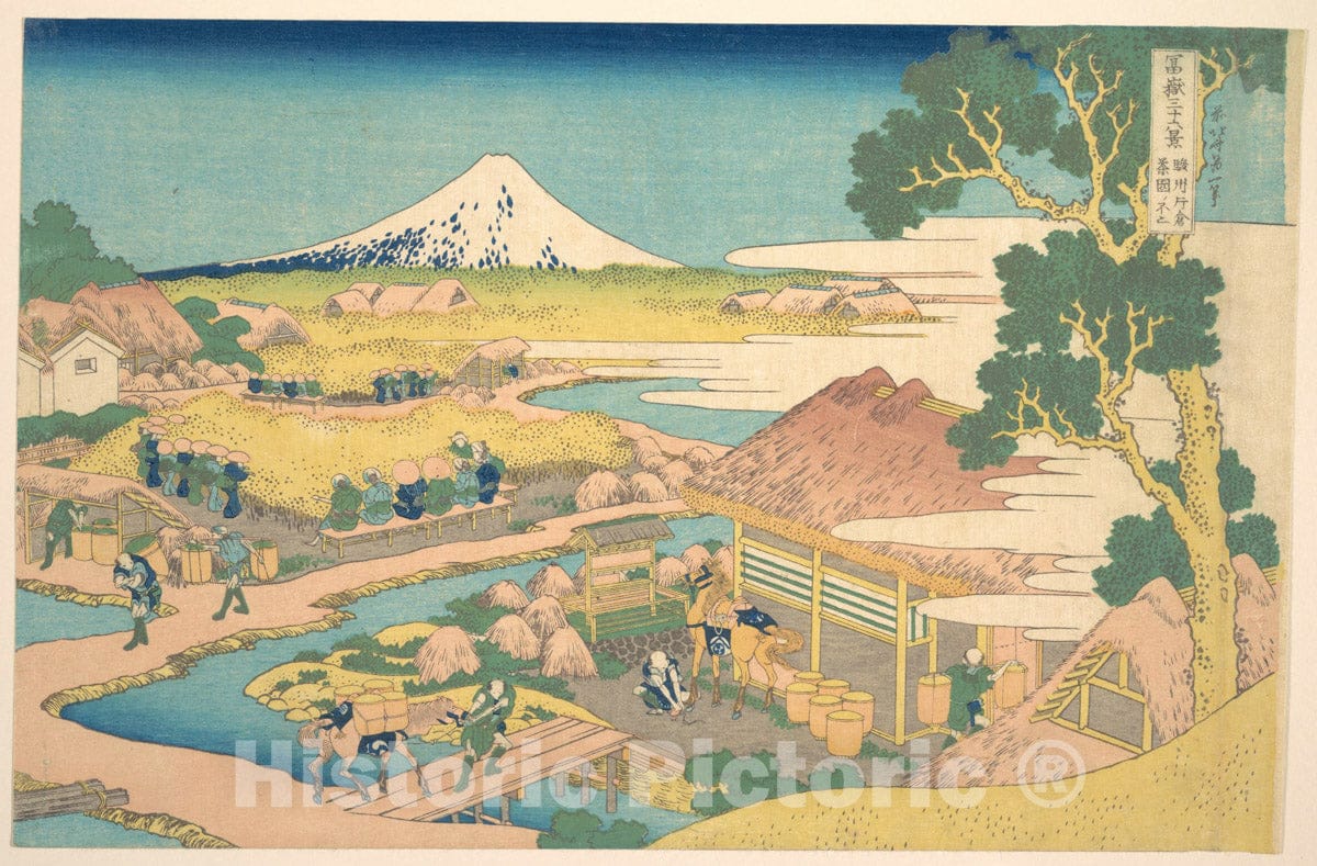 Art Print : Fuji from The Katakura Tea Fields - Artist: Katsushika Hokusai - Created: c1830 1 : Vintage Wall Art