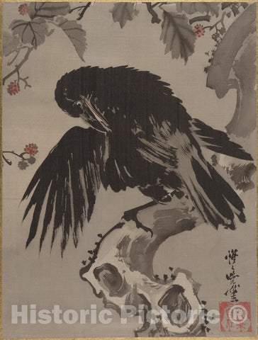 Art Print : Kawanabe Ky?sai - Crow on a Branch - Japan 2 : Vintage Wall Art