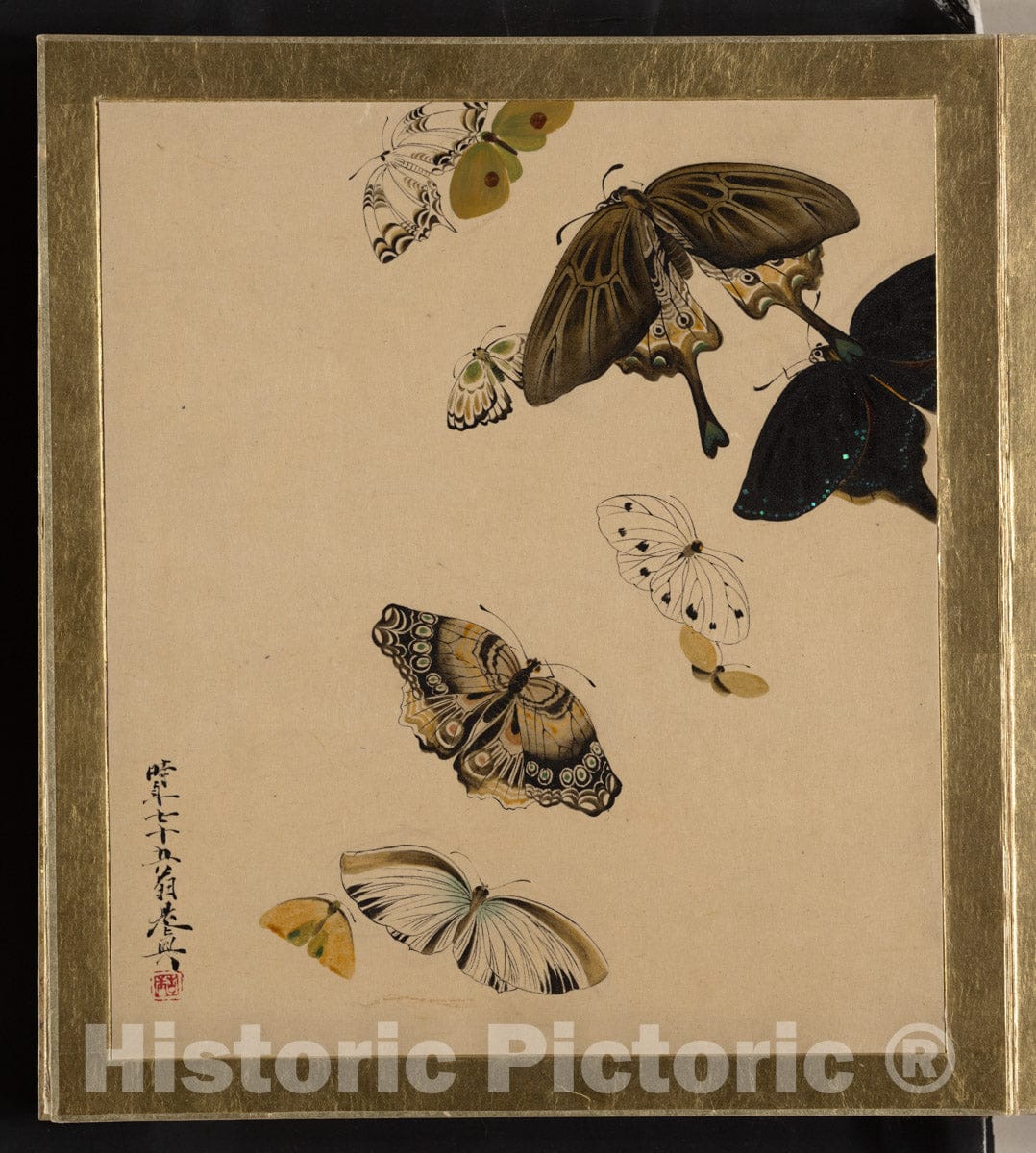 Shibata Zeshin - Lacquer Paintings of Various Subjects