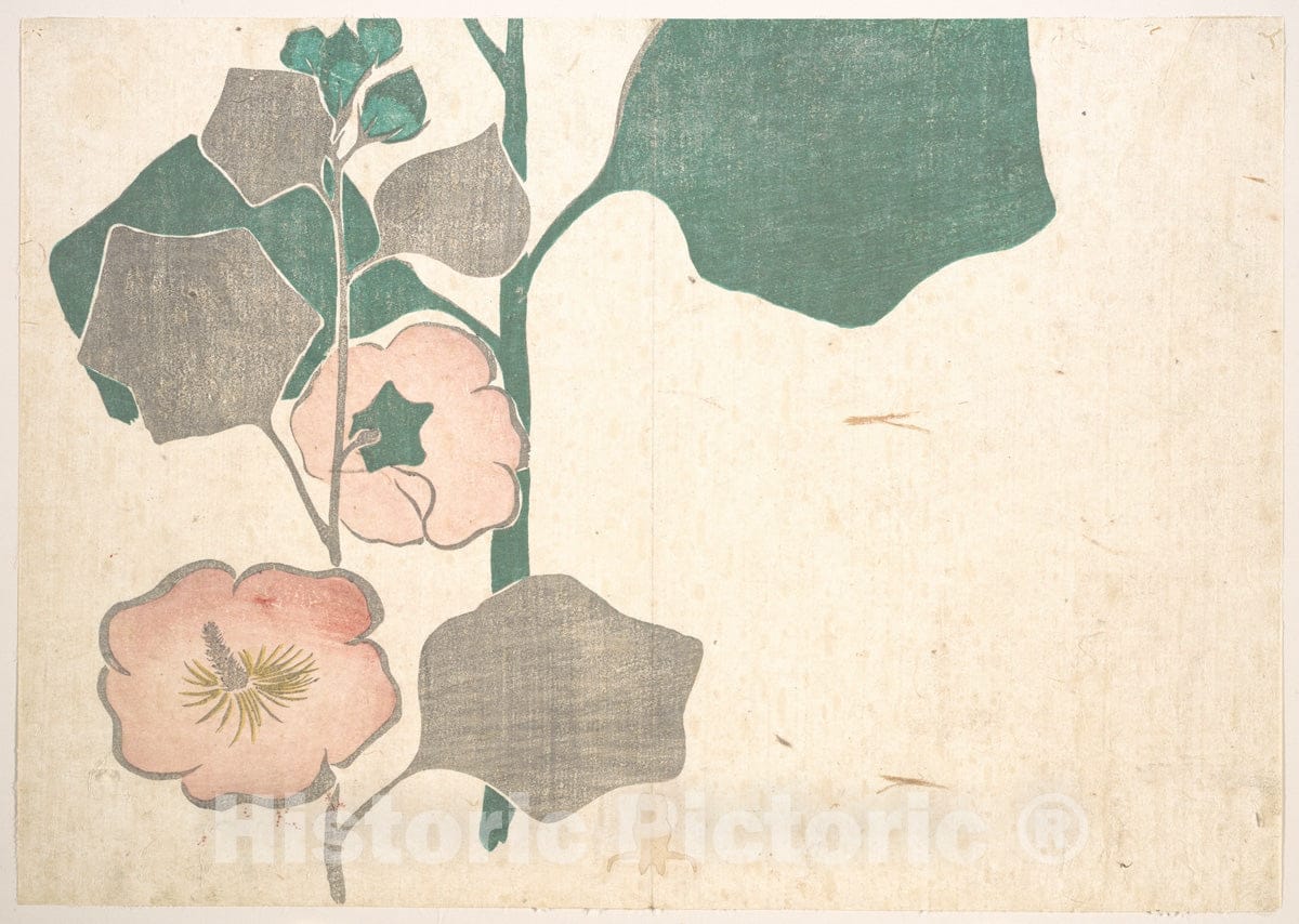 Art Print : Ogata K?rin - Design of Flowers - Japan : Vintage Wall Art