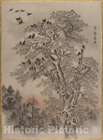 Art Print : Kawanabe Ky?sai - Flock of Crows at Dawn - Japan : Vintage Wall Art