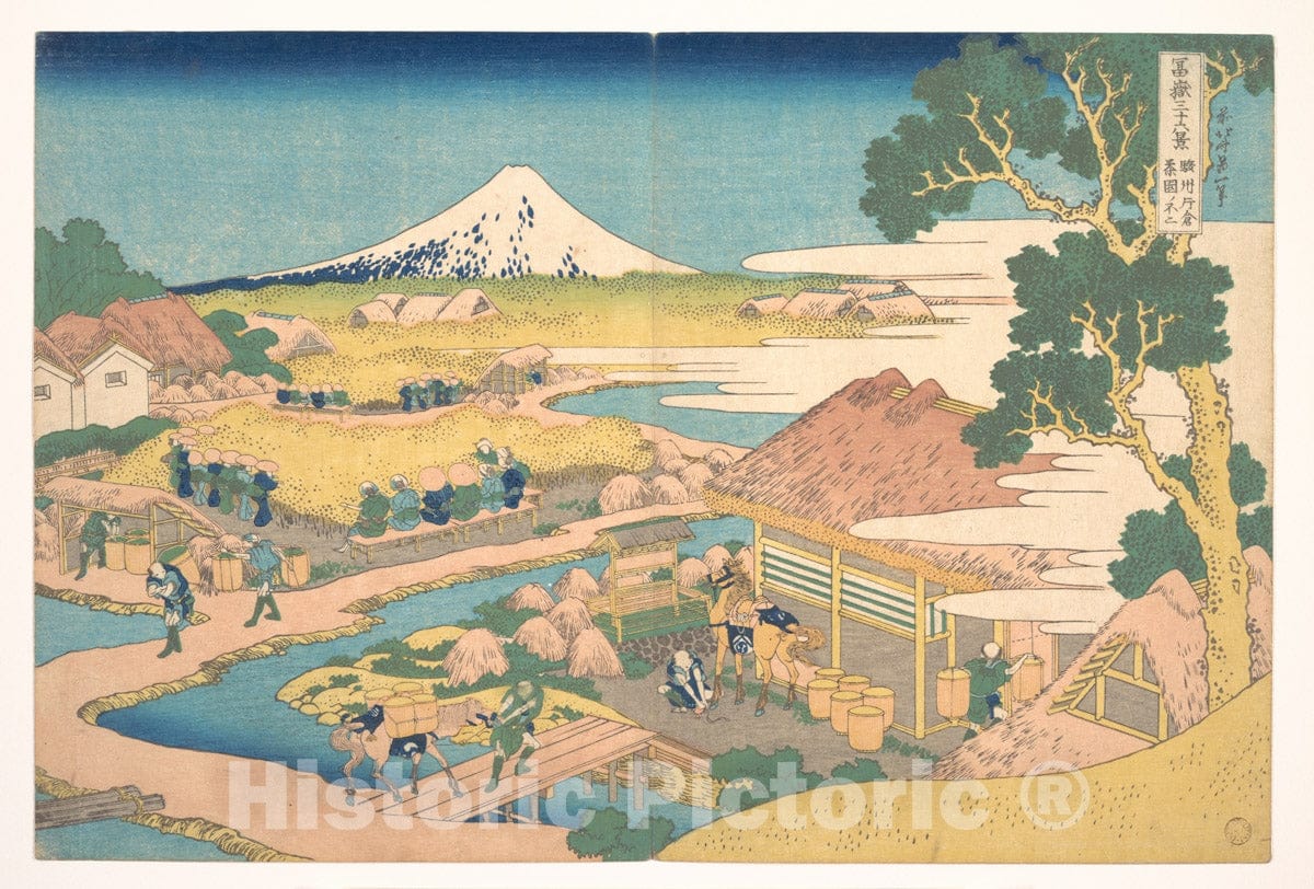 Art Print : Fuji from The Katakura Tea Fields - Artist: Katsushika Hokusai - Created: c1830-413431 : Vintage Wall Art