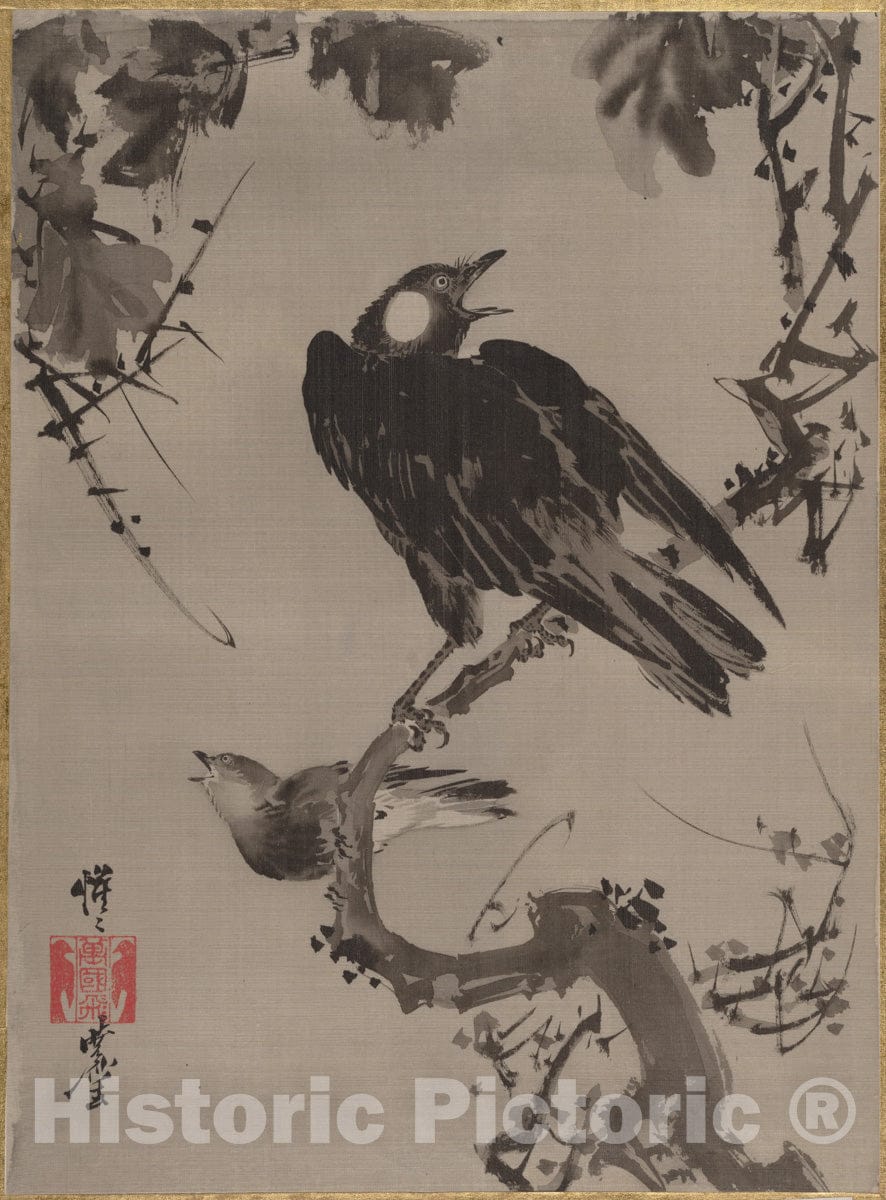Art Print : Kawanabe Ky?sai - Starlings on a Branch - Japan : Vintage Wall Art