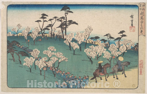 Art Print : Utagawa Hiroshige - Asakayama Hanami - Japan : Vintage Wall Art