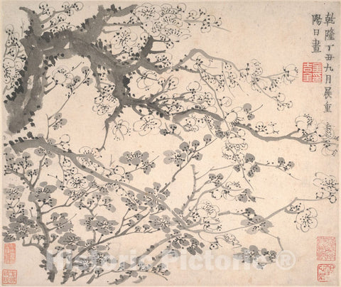 Art Print : Jin Nong - Plum Blossoms - China : Vintage Wall Art