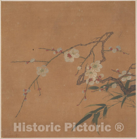 Art Print : Unidentified Artist - Branch of Tree with Flowers - China - Ming (1368–1644) or Qing Dynasty (1644–1911) : Vintage Wall Art