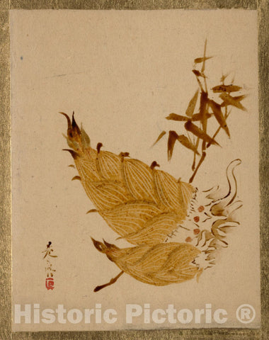 Art Print : Shibata Zeshin - Bamboo Sprouts - Japan : Vintage Wall Art
