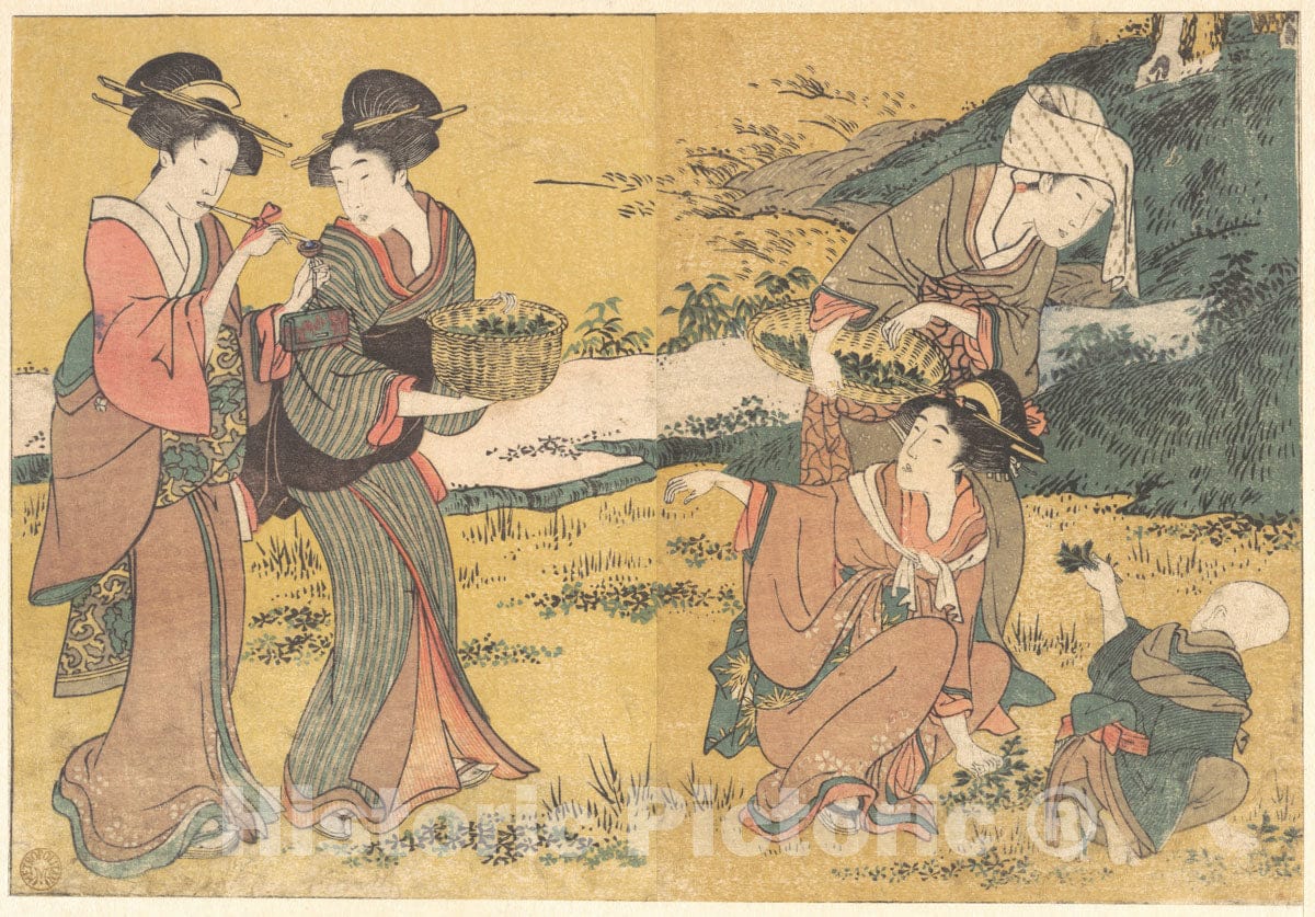 Art Print : Kitagawa Utamaro - Girls Picking Green Leaves, from The Illustrated Book Flowers of The Four Seasons - Japan : Vintage Wall Art