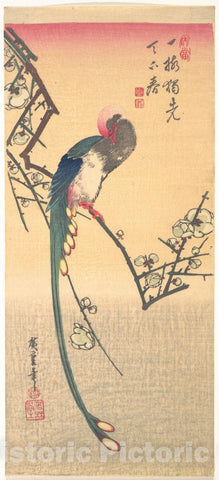 Art Print : Utagawa Hiroshige - Bird on a Plum Branch - Japan : Vintage Wall Art