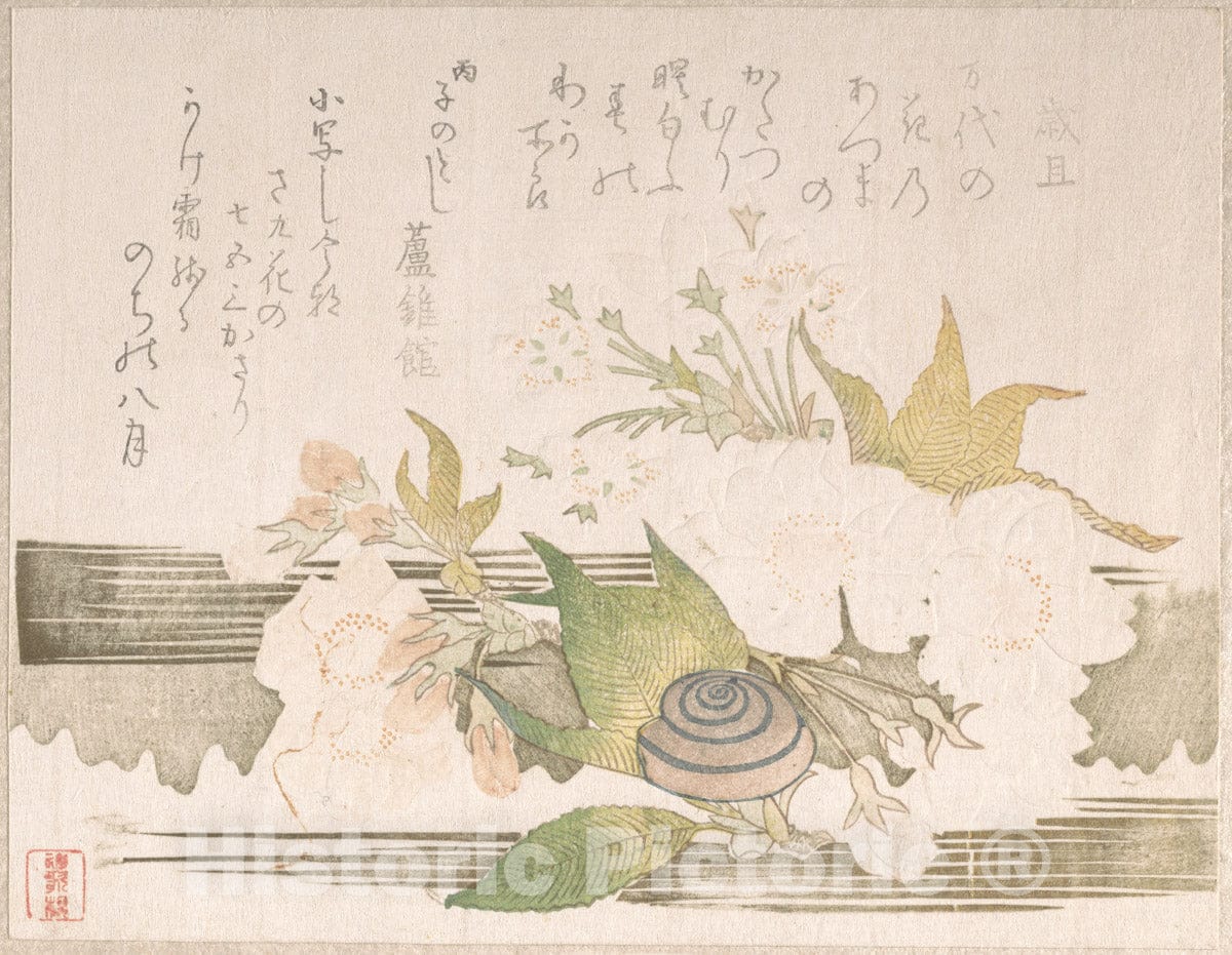 Art Print : Unidentified Artist - Cherry Blossoms and a Snail - Japan : Vintage Wall Art
