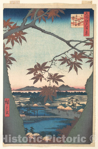 Art Print : Utagawa Hiroshige - Maples at Mama, from The Series One Hundred Famous Views of Edo - Japan : Vintage Wall Art