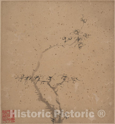 Art Print : Tang Yifen - Blossoming Plum - China : Vintage Wall Art