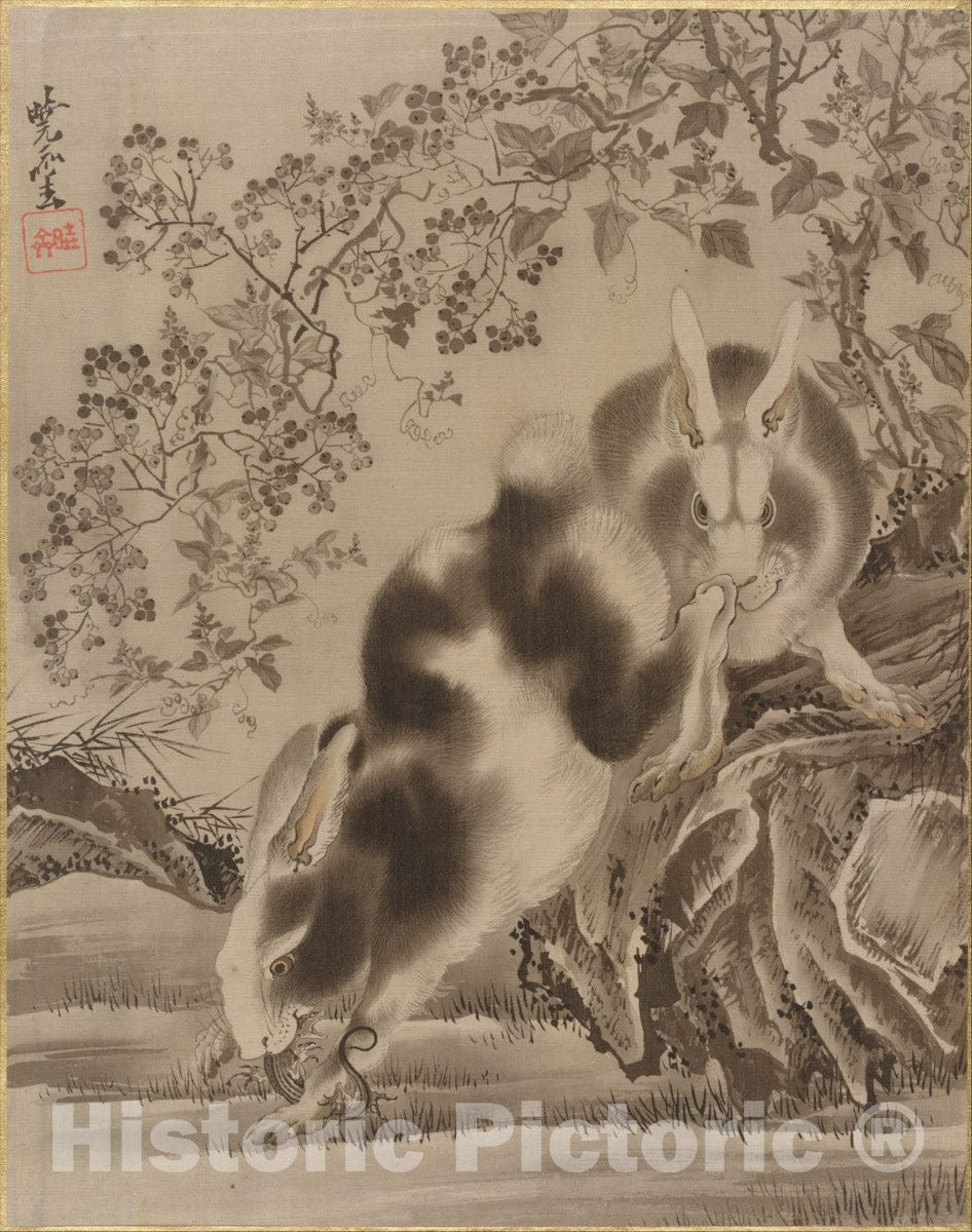 Art Print : Kawanabe Ky?sai - Rabbits - Japan : Vintage Wall Art