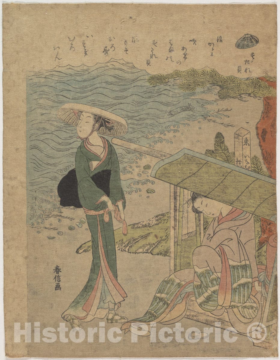 Art Print : Suzuki Harunobu - The Curtain Clam - Japan : Vintage Wall Art