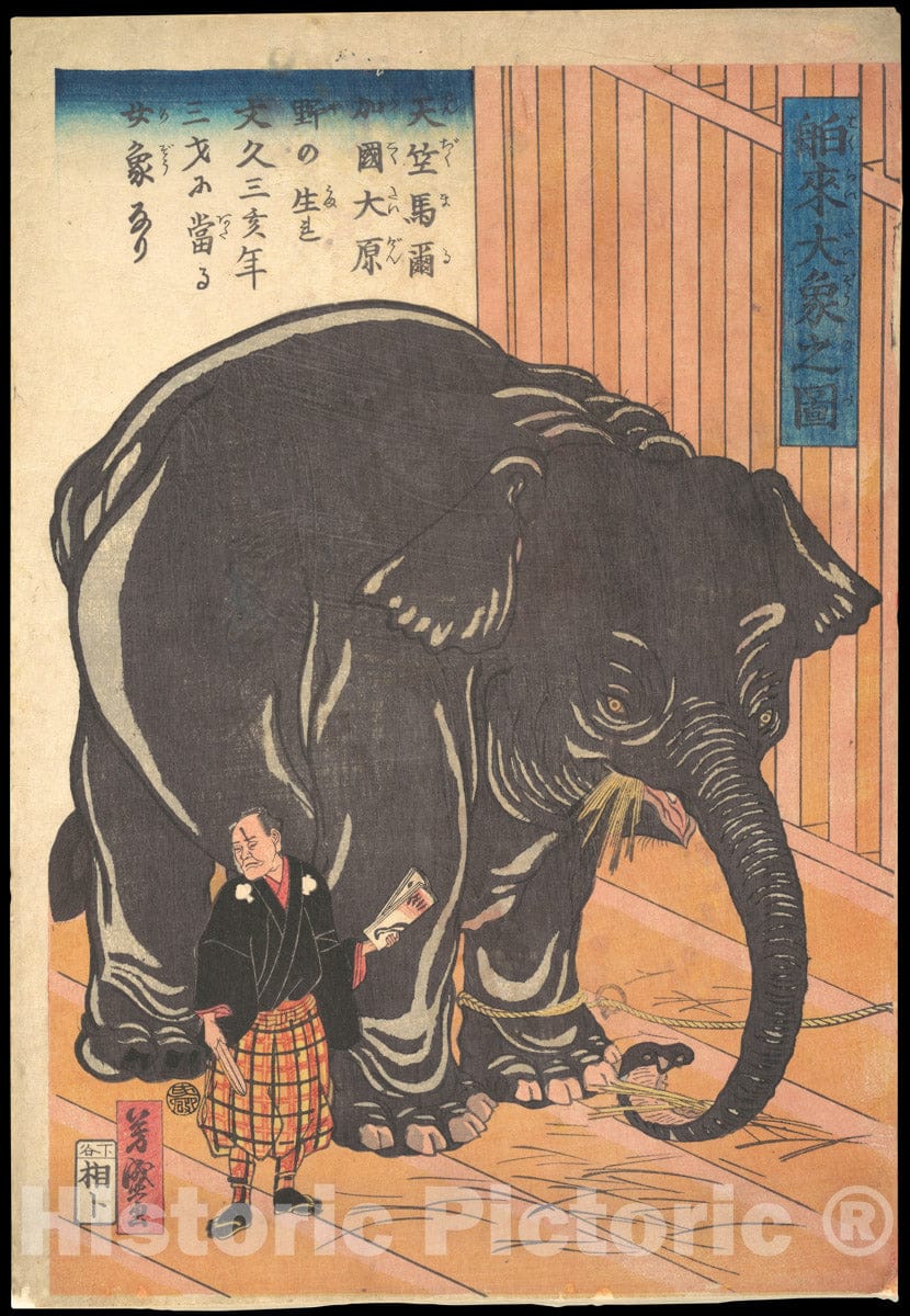 Art Print : Taguchi (Utagawa) Yoshimori - View of The Large Imported Elephant - Japan : Vintage Wall Art