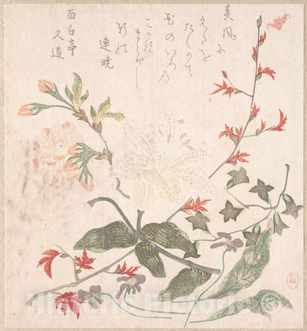 Art Print : Unidentified Artist - Lily, Violets, Cherry Blossoms, Forsythia, and a Branch of Red Maple - Japan : Vintage Wall Art