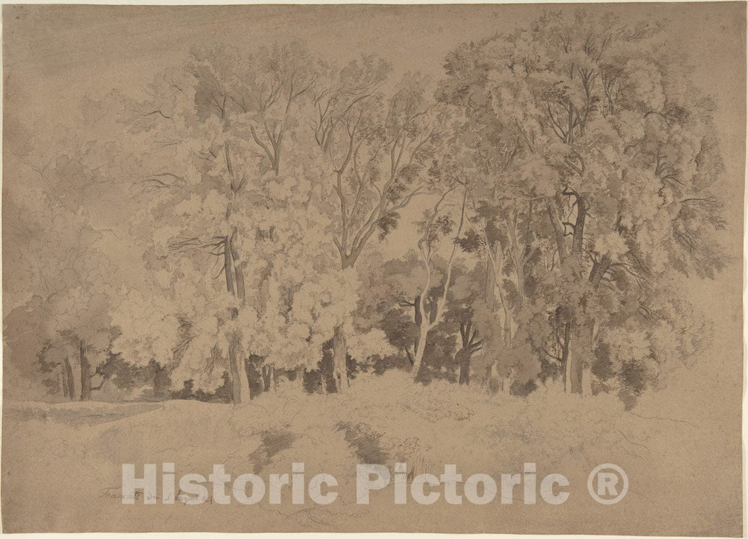 Art Print : Ernst Fries - Edge of a Wood Near Frascati : Vintage Wall Art