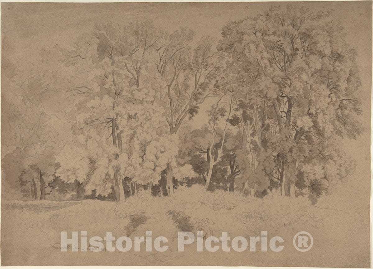 Art Print : Ernst Fries - Edge of a Wood Near Frascati : Vintage Wall Art