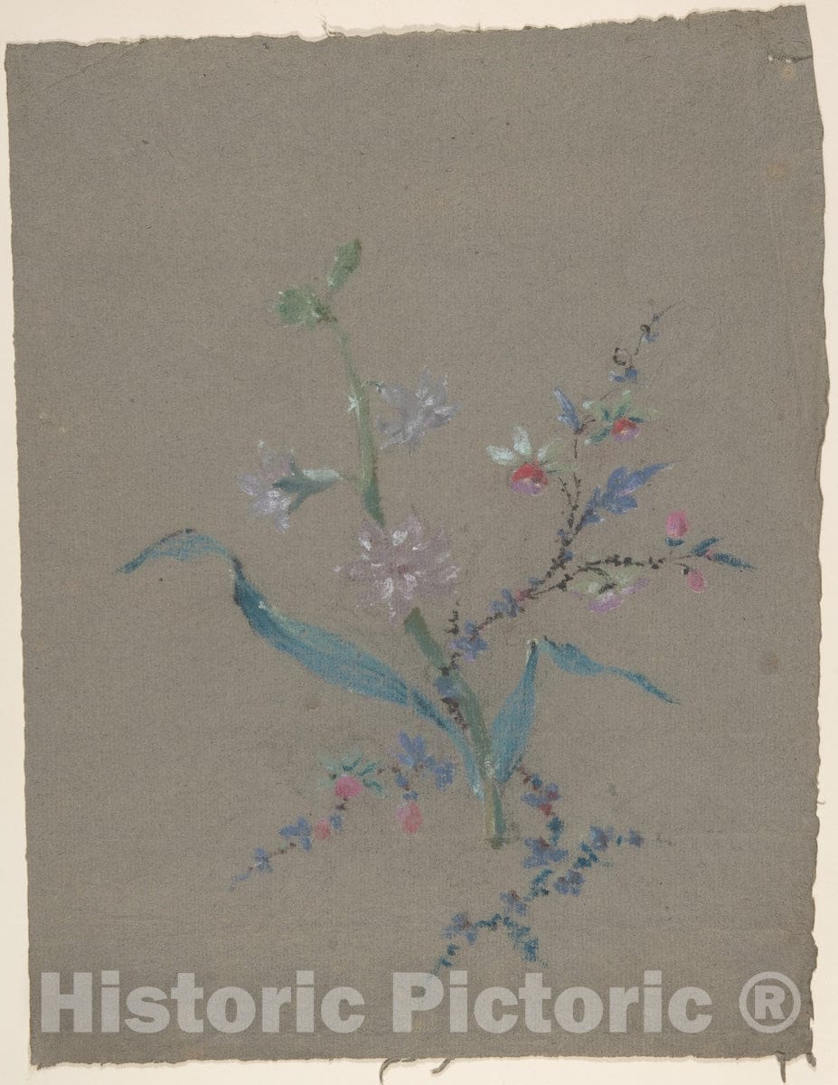 Art Print : Jean François Bony - Floral Design : Vintage Wall Art