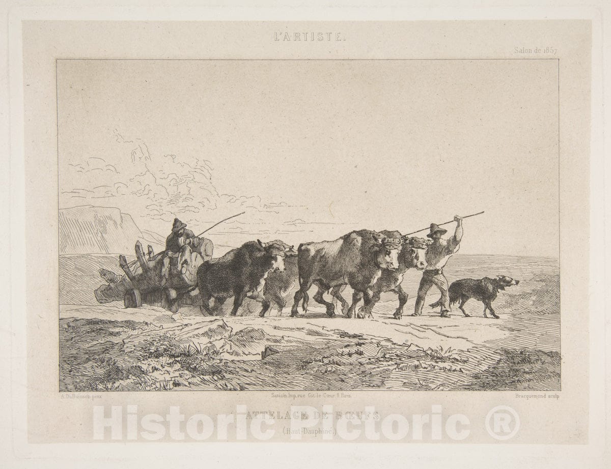 Art Print : Félix Bracquemond - Harnessing of Cattle (Haut-Dauphiné) : Vintage Wall Art