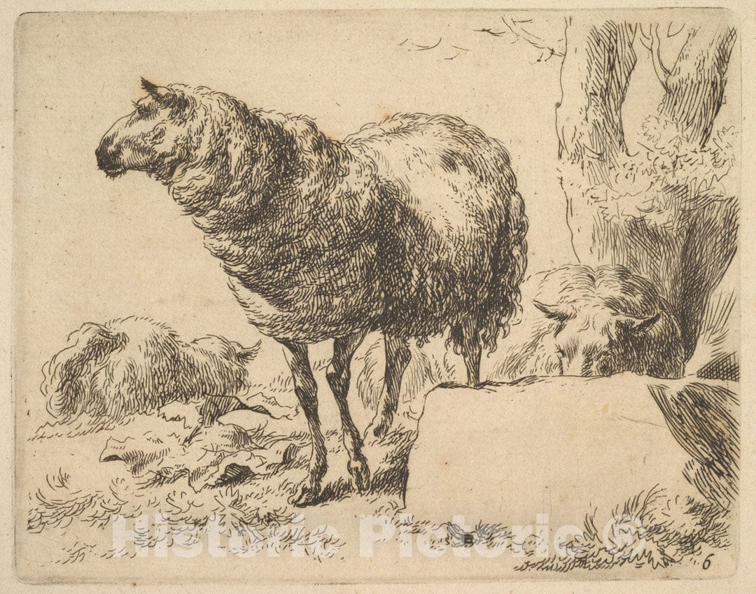 Art Print : Nicolaes Berchem - from The Set of Sheep 1 : Vintage Wall Art