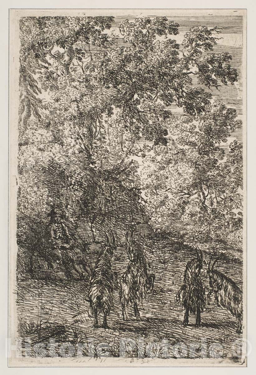 Art Print : Claude Lorrain (Claude Gellée) - Four Goats (Left Section of The Goats) 2 : Vintage Wall Art