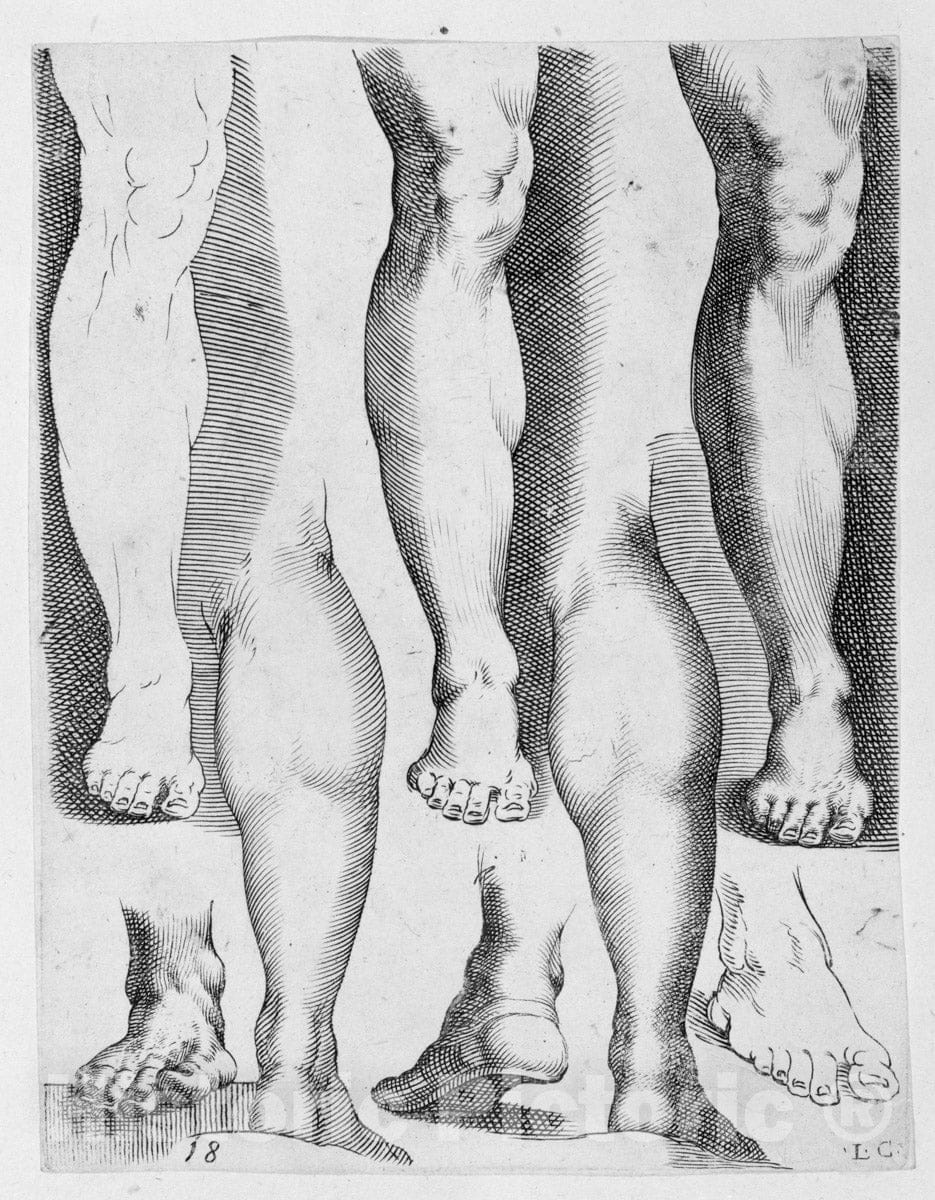 Art Print : Luca Ciamberlano - Five Legs and Three Feet : Vintage Wall Art