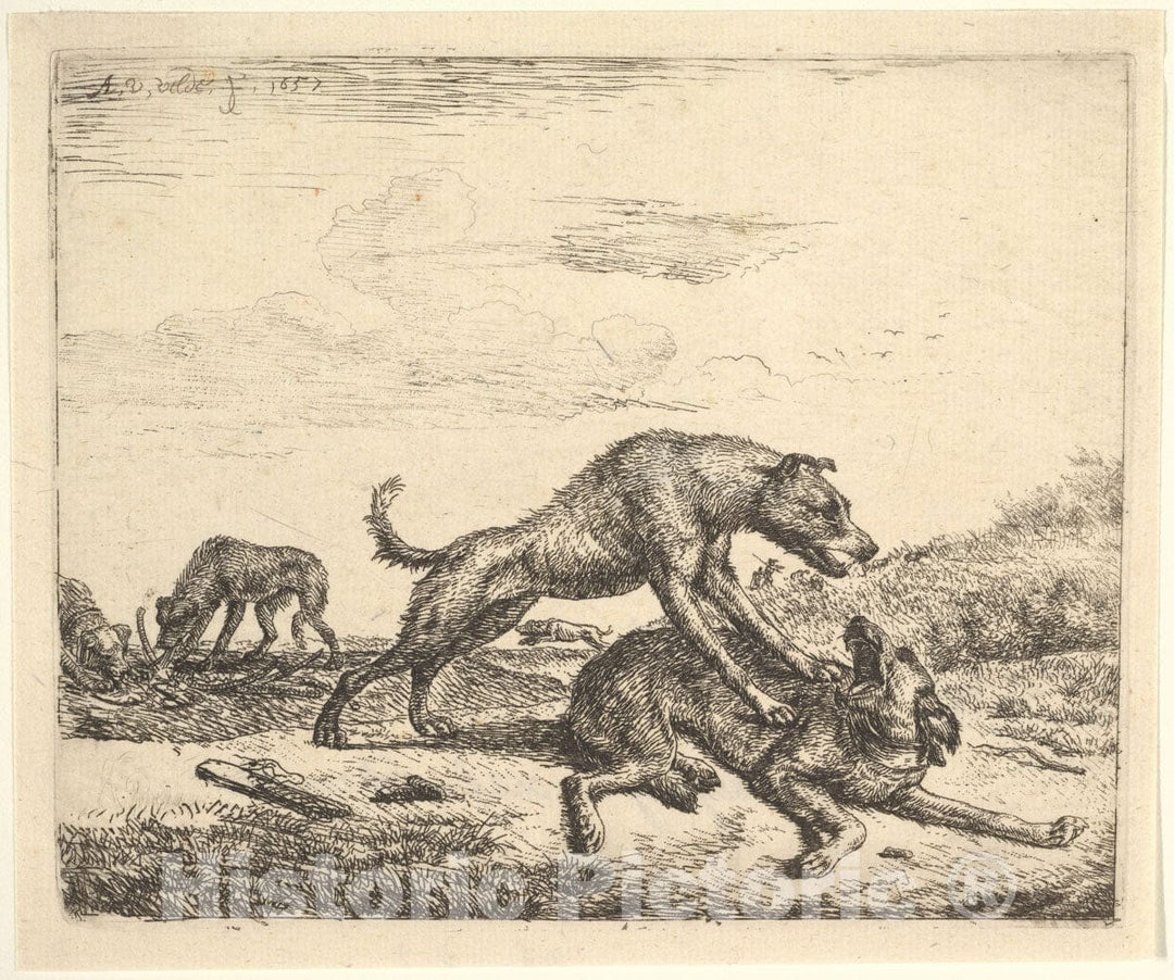 Art Print : Adriaen Van de Velde - Fighting Dogs, from Different Animals : Vintage Wall Art