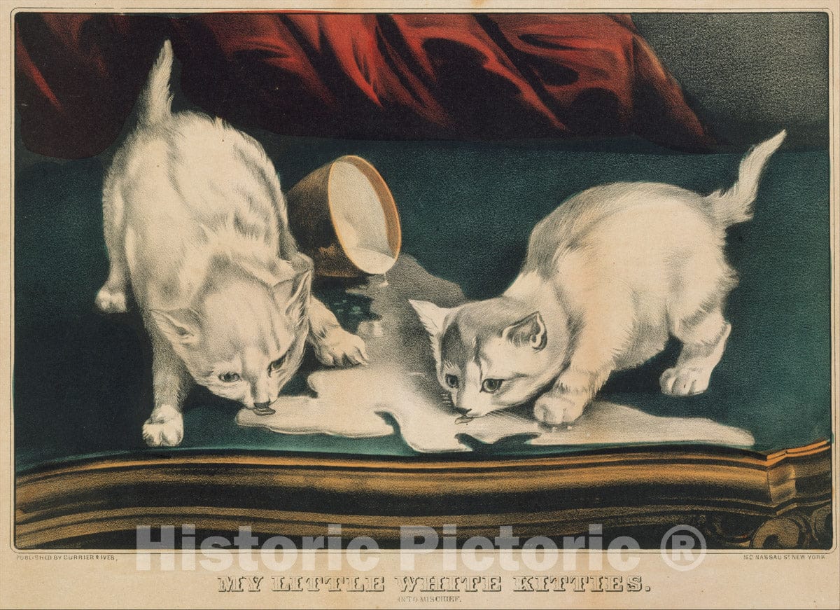 Art Print : Currier & Ives - My Little White Kitties – Into Mischief : Vintage Wall Art