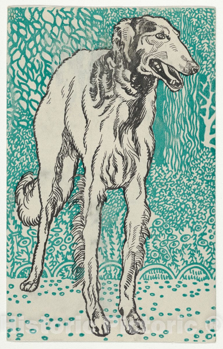 Art Print : Moriz Jung - Greyhound 2 : Vintage Wall Art