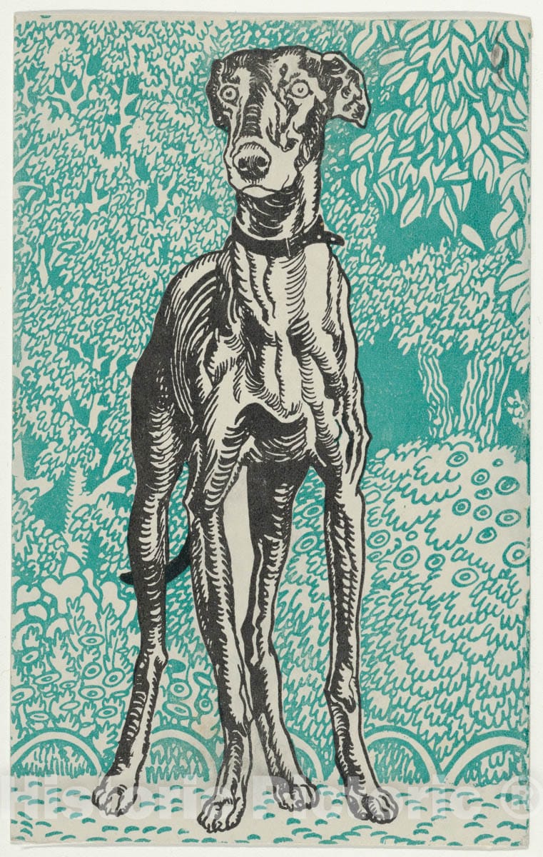 Art Print : Moriz Jung - Greyhound 1 : Vintage Wall Art