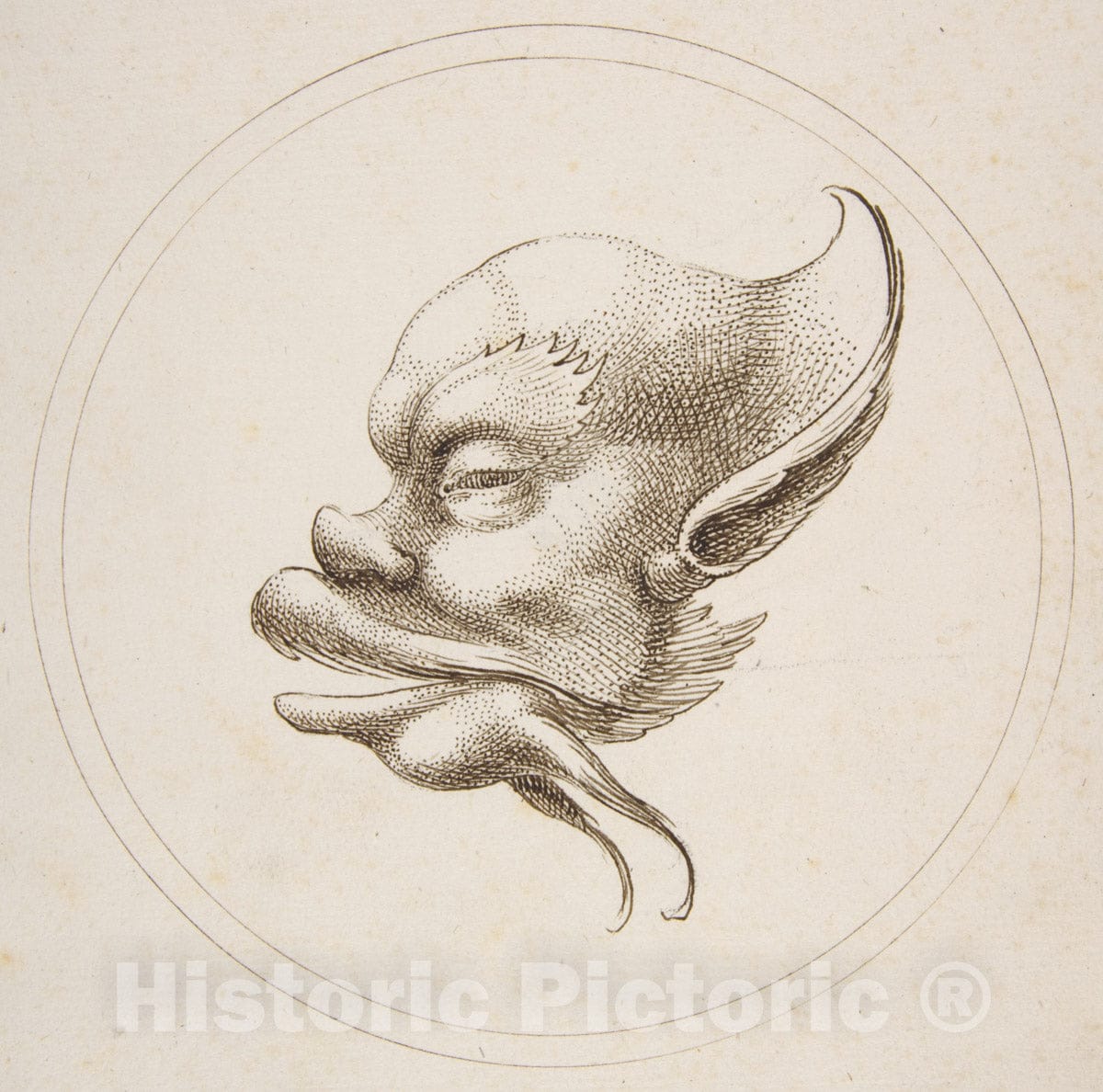 Art Print : Gaetano Piccini - Grotesque Head with a Large Eyebrow Looking to The Left Within a Circle : Vintage Wall Art