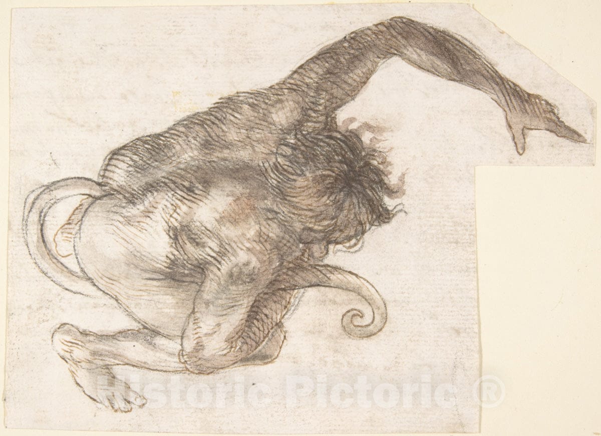 Art Print : Figure of Fantastic Human-Like Creature with Long Tail - Artist: Spanish, School of Seville, 17th Century - Created: 17th Century : Vintage Wall Art
