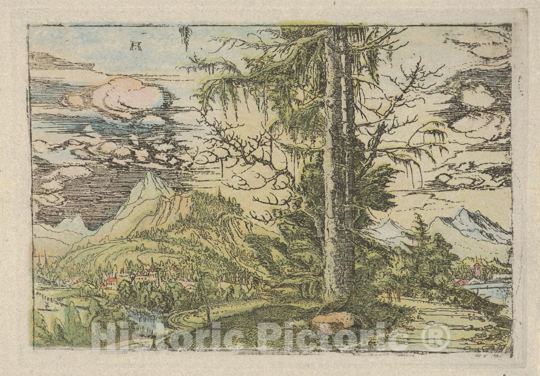 Art Print : Albrecht Altdorfer - Facsimile Reproduction of Landscape with a Double Spruce : Vintage Wall Art
