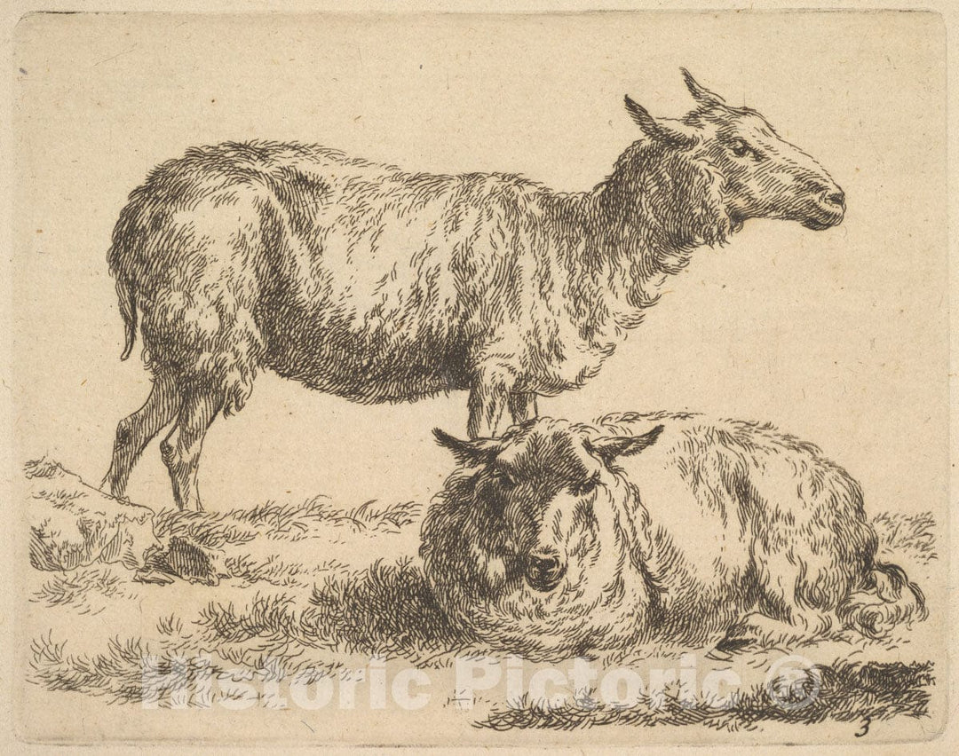 Art Print : Nicolaes Berchem - from The Set of Sheep 2 : Vintage Wall Art