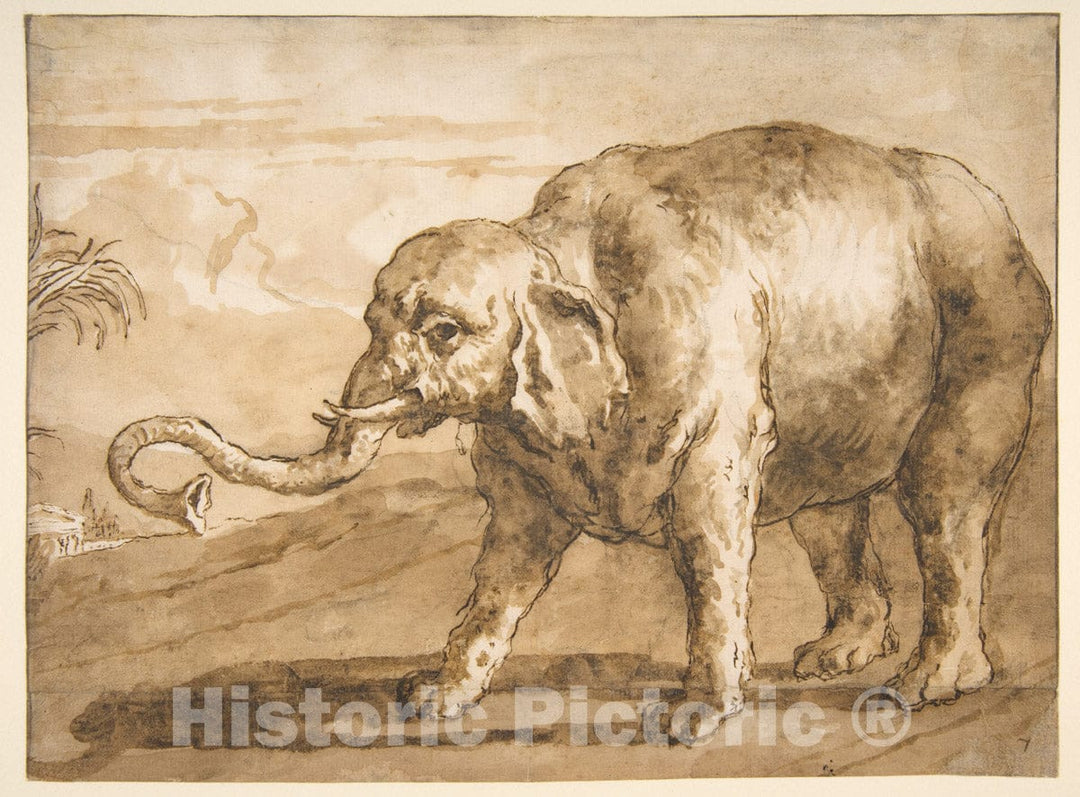 Art Print : Giovanni Domenico Tiepolo - Elephant in a Landscape : Vintage Wall Art