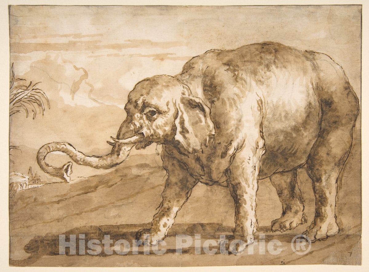 Art Print : Giovanni Domenico Tiepolo - Elephant in a Landscape : Vintage Wall Art