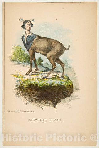 Art Print : Henry Louis Stephens - Little Dear, from The Comic Natural History of The Human Race : Vintage Wall Art