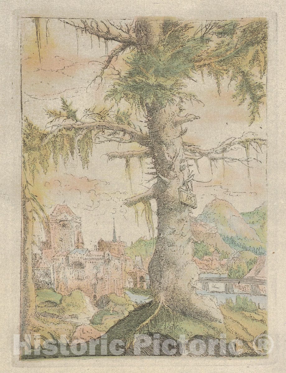 Art Print : Author of Meisterwerke der Graphik in XVIII jahrhundert, Alfred Stix - Facsimile Reproduction of The Small Spruce : Vintage Wall Art