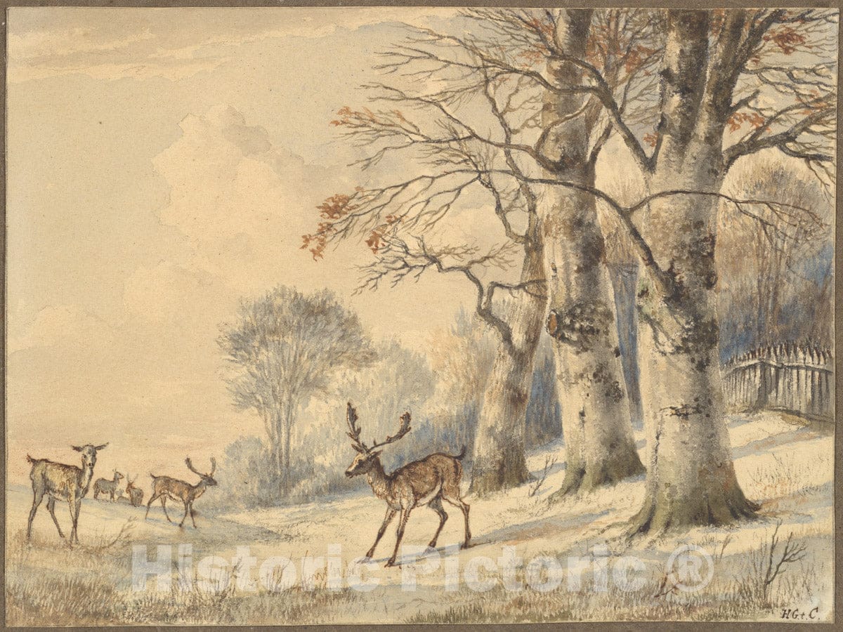 Art Print : Hendrik Gerrit Ten Cate - Deer Under Beech Trees in Summer : Vintage Wall Art