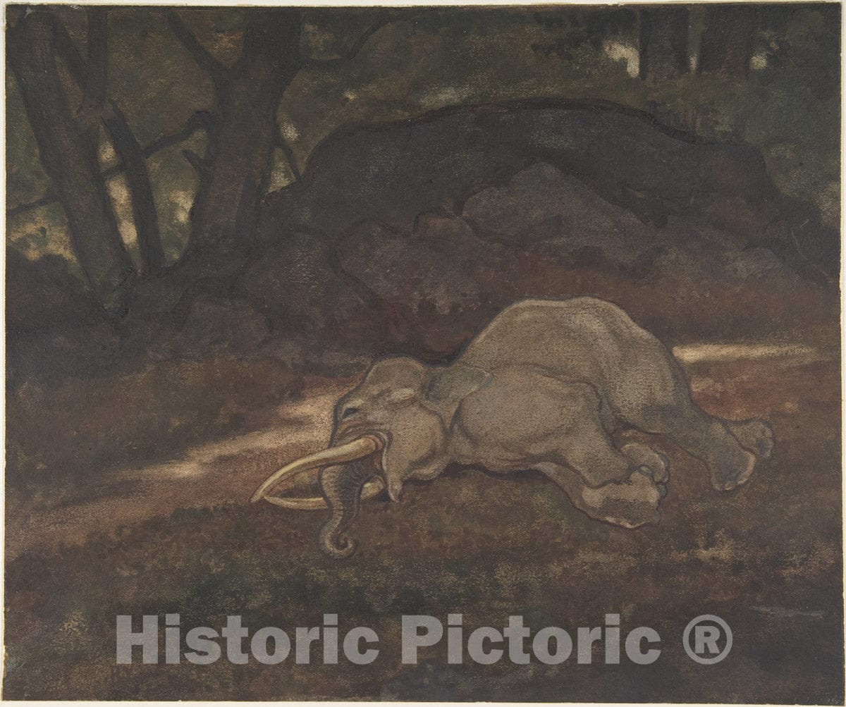 Art Print : Antoine-Louis Barye - Sleeping Elephant : Vintage Wall Art