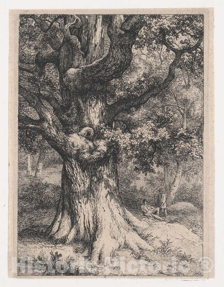Art Print : Eugène Stanislas Alexandre Bléry - The Charlemagne, Oak Tree with an Eagle's Nest : Vintage Wall Art