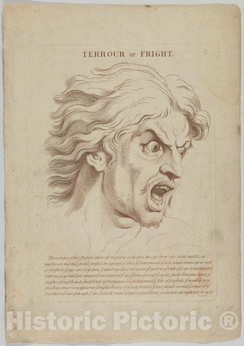 Art Print : Terrour or Fright - Artist: Charles Le Brun - Created: 1765 : Vintage Wall Art