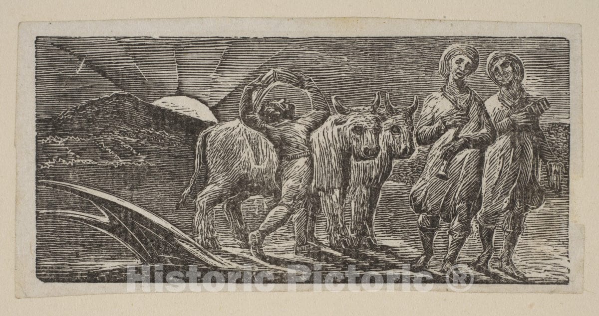 Art Print : William Blake - Boy Returning Joyfully, with Plough and Oxen, from Thornton's Pastorals of Virgil 1 : Vintage Wall Art