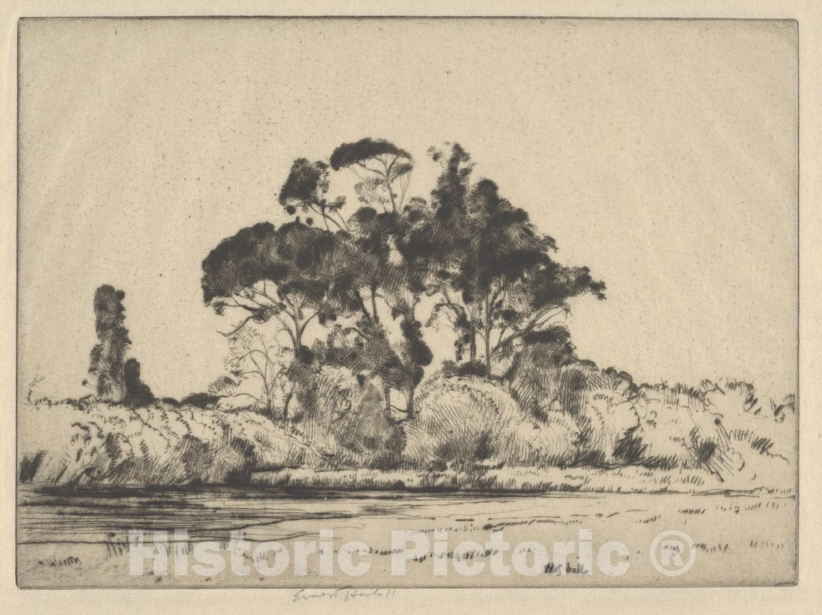 Art Print : Ernest Haskell - Feathery Trees : Vintage Wall Art