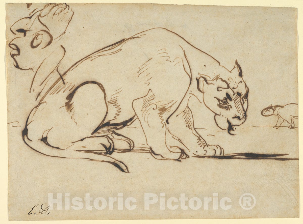 Art Print : Eugène Delacroix - A Lioness and a Caricature of Ingres : Vintage Wall Art