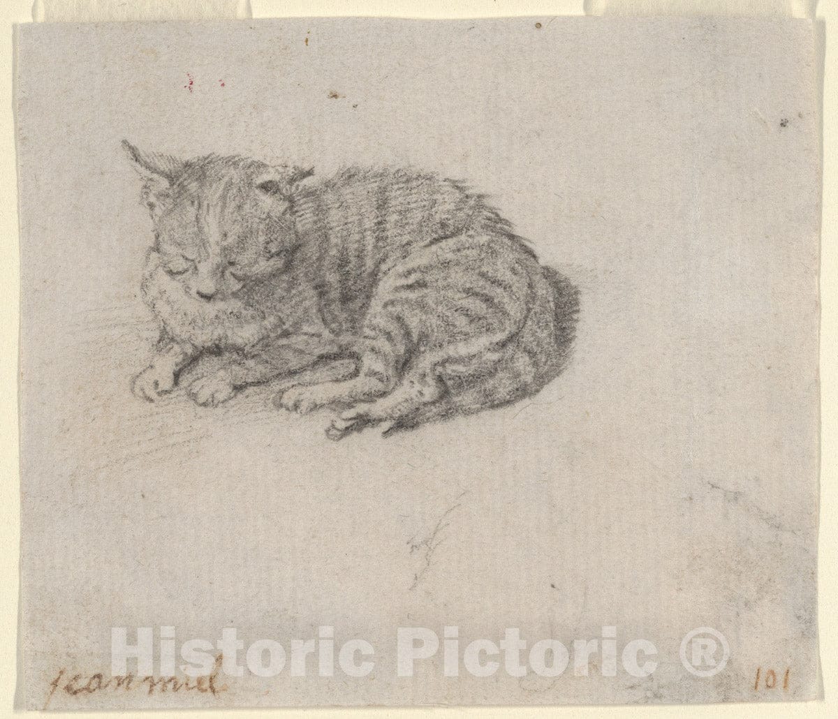 Art Print : Jan Miel - Study of a Sleeping Cat : Vintage Wall Art